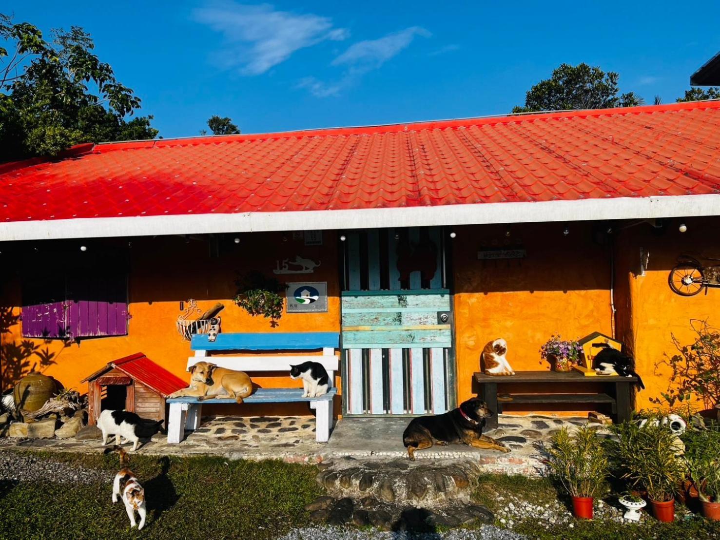 Cat Sky Country Homestay Sanxing Exterior photo